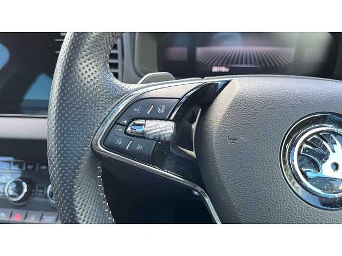 SKODA Karoq KAROQ 2.0 TSI Sportline 4x4 5dr DSG 
